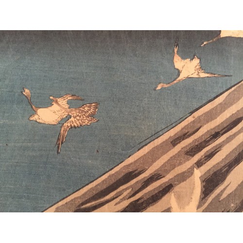 Waterfowl at the battle of Fujikawa