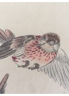 estampes japonaises Imao Keinen oiseaux et papillons