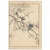 Imao Keinen estampe japonaise authentique moineaux et fleurs de pruniers
