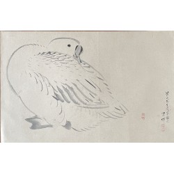 Yokohama Seiki - Le canard