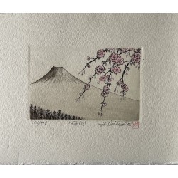 Hiroto Norikane - Cerisiers...